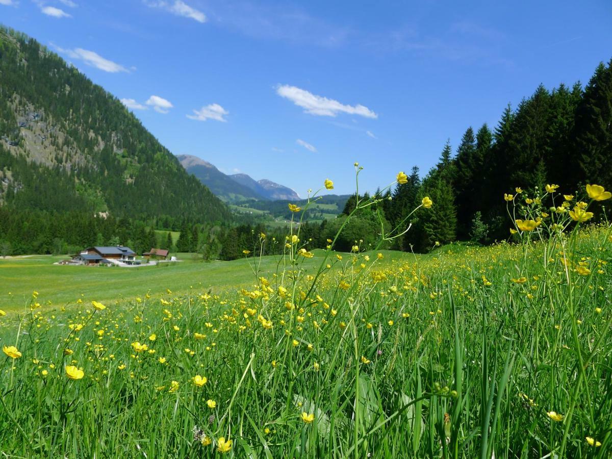 Alpenhaus Dachstein.Zauber Appartement Abtenau Buitenkant foto