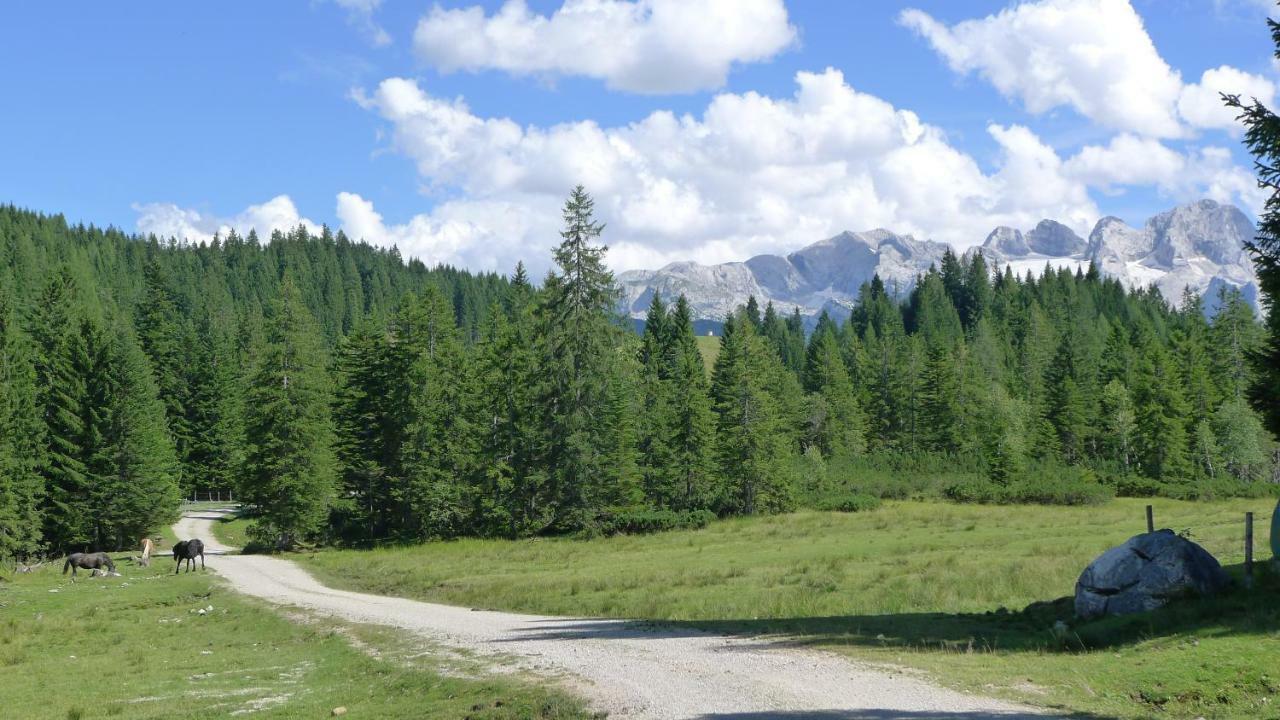 Alpenhaus Dachstein.Zauber Appartement Abtenau Buitenkant foto