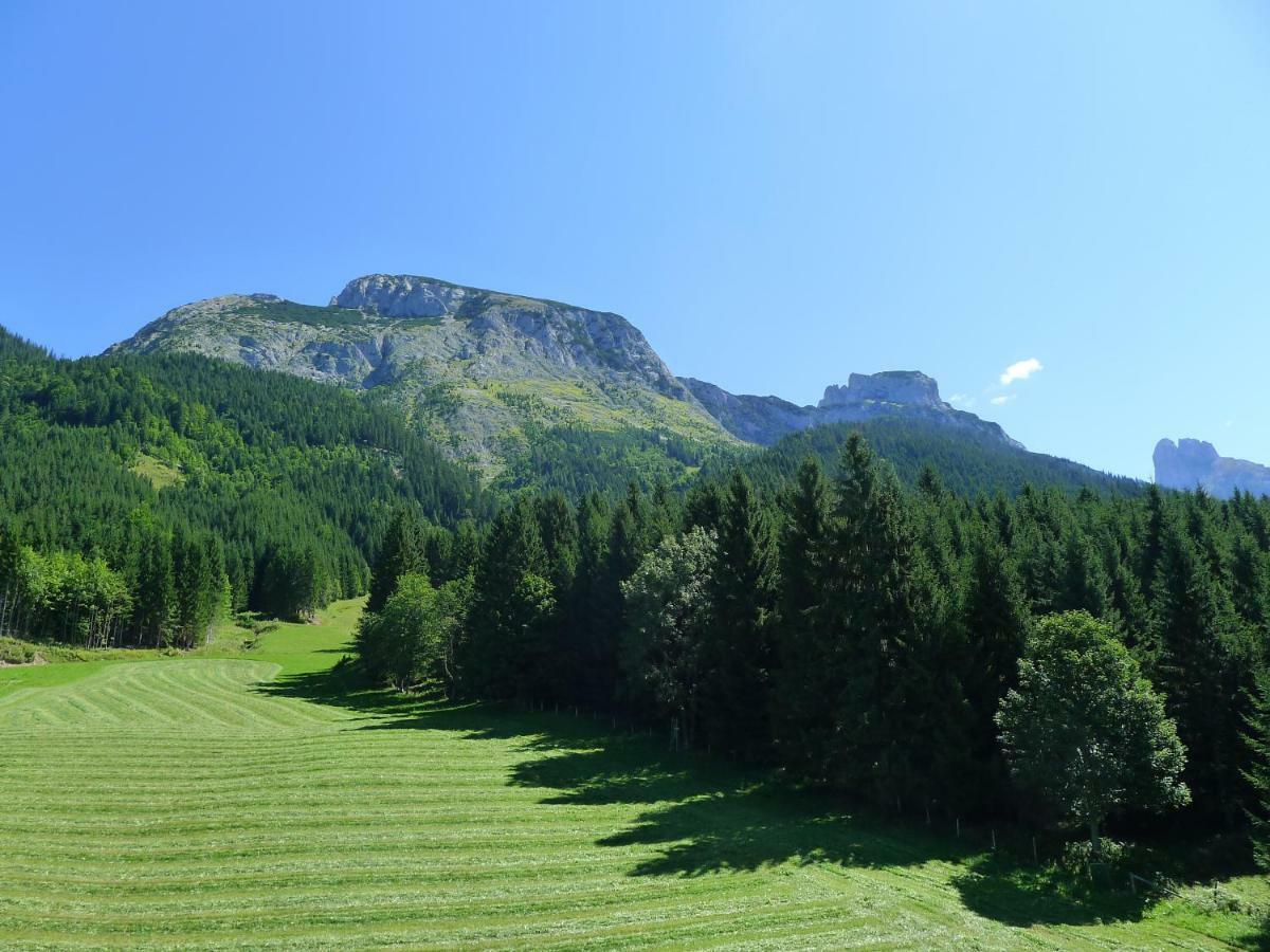 Alpenhaus Dachstein.Zauber Appartement Abtenau Buitenkant foto