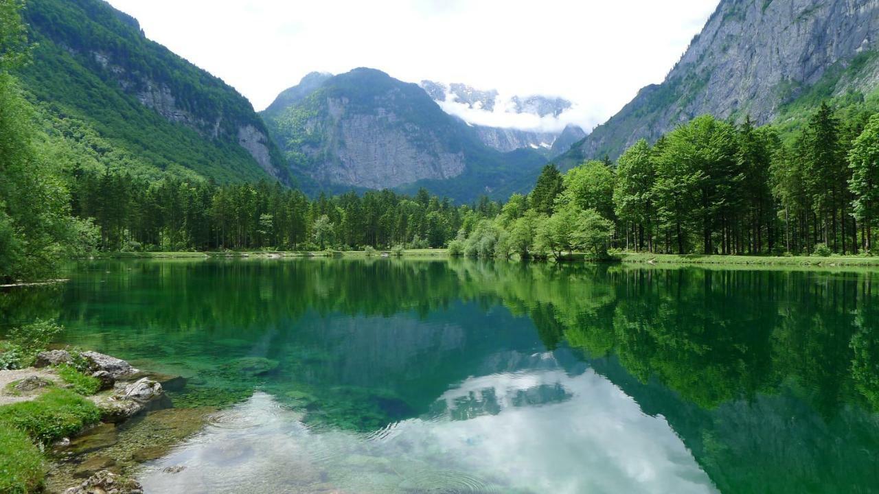 Alpenhaus Dachstein.Zauber Appartement Abtenau Buitenkant foto