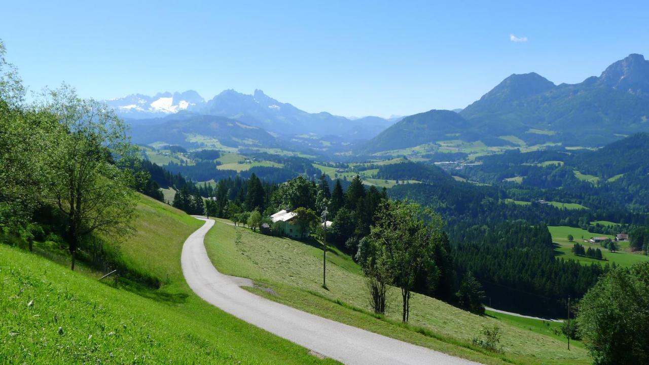 Alpenhaus Dachstein.Zauber Appartement Abtenau Buitenkant foto