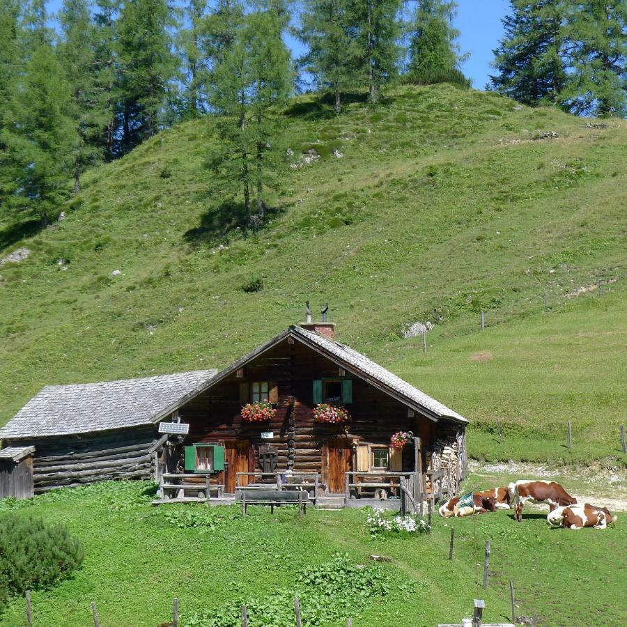 Alpenhaus Dachstein.Zauber Appartement Abtenau Buitenkant foto