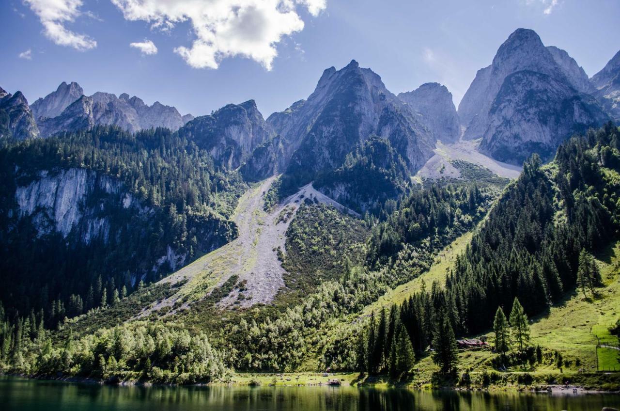 Alpenhaus Dachstein.Zauber Appartement Abtenau Buitenkant foto