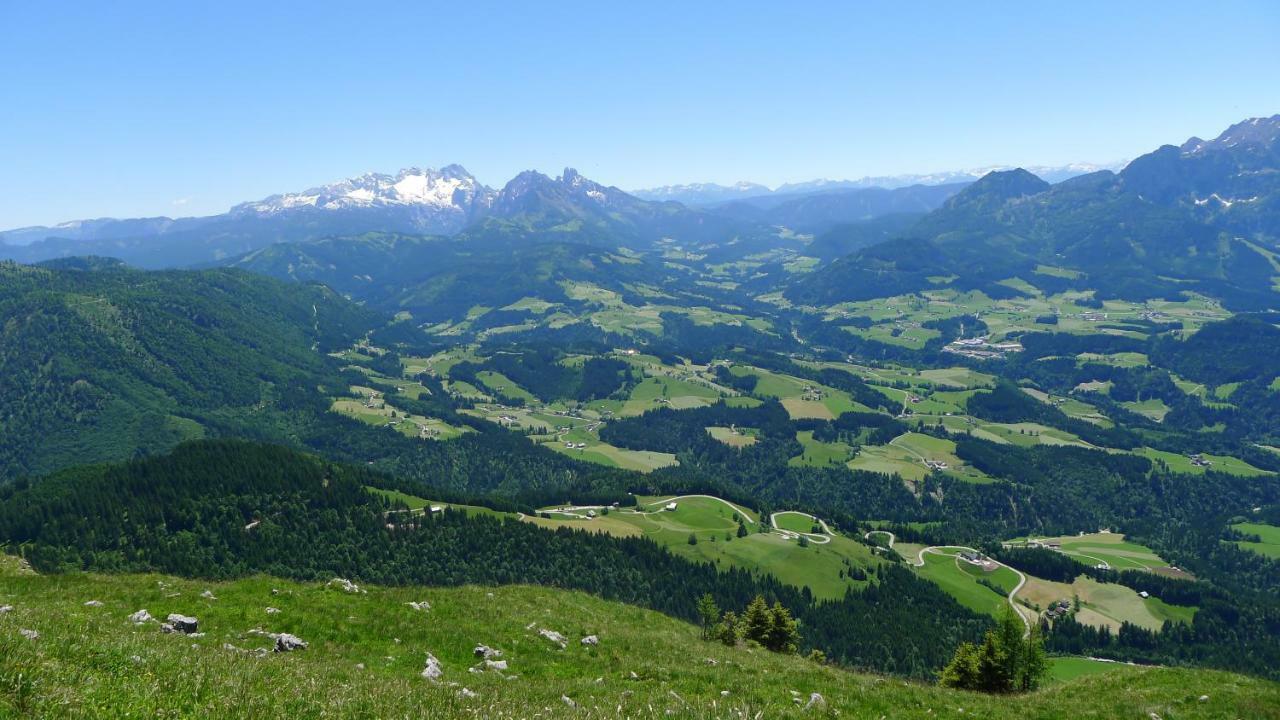 Alpenhaus Dachstein.Zauber Appartement Abtenau Buitenkant foto