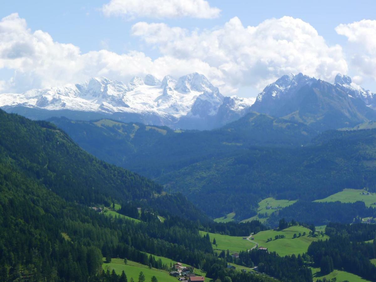 Alpenhaus Dachstein.Zauber Appartement Abtenau Buitenkant foto