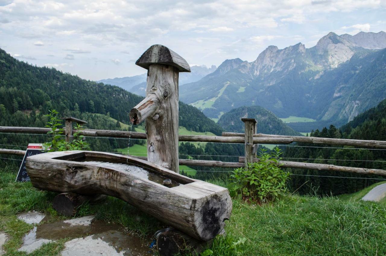 Alpenhaus Dachstein.Zauber Appartement Abtenau Buitenkant foto