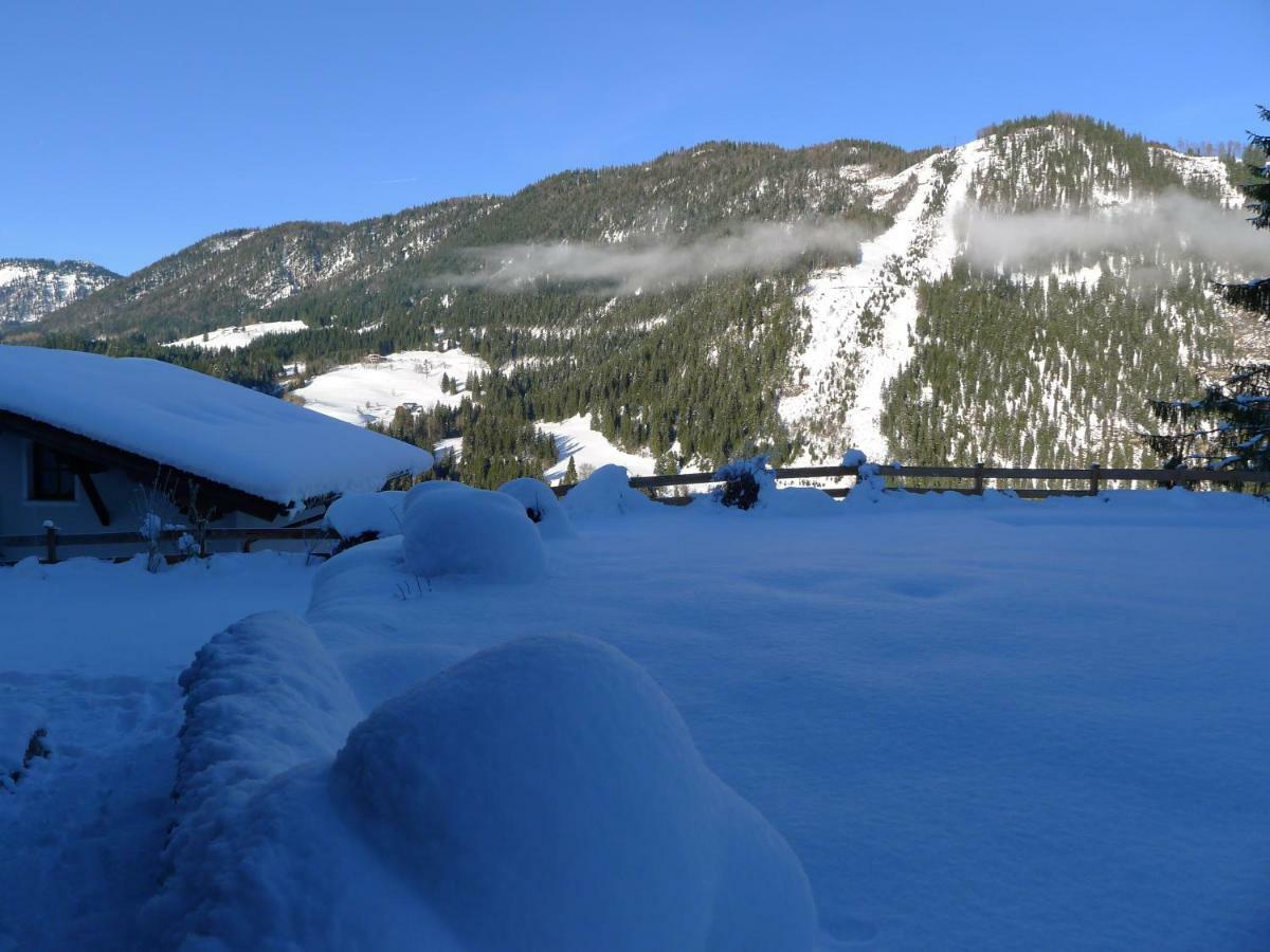 Alpenhaus Dachstein.Zauber Appartement Abtenau Buitenkant foto