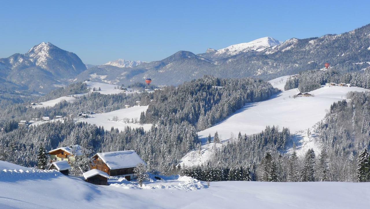 Alpenhaus Dachstein.Zauber Appartement Abtenau Buitenkant foto