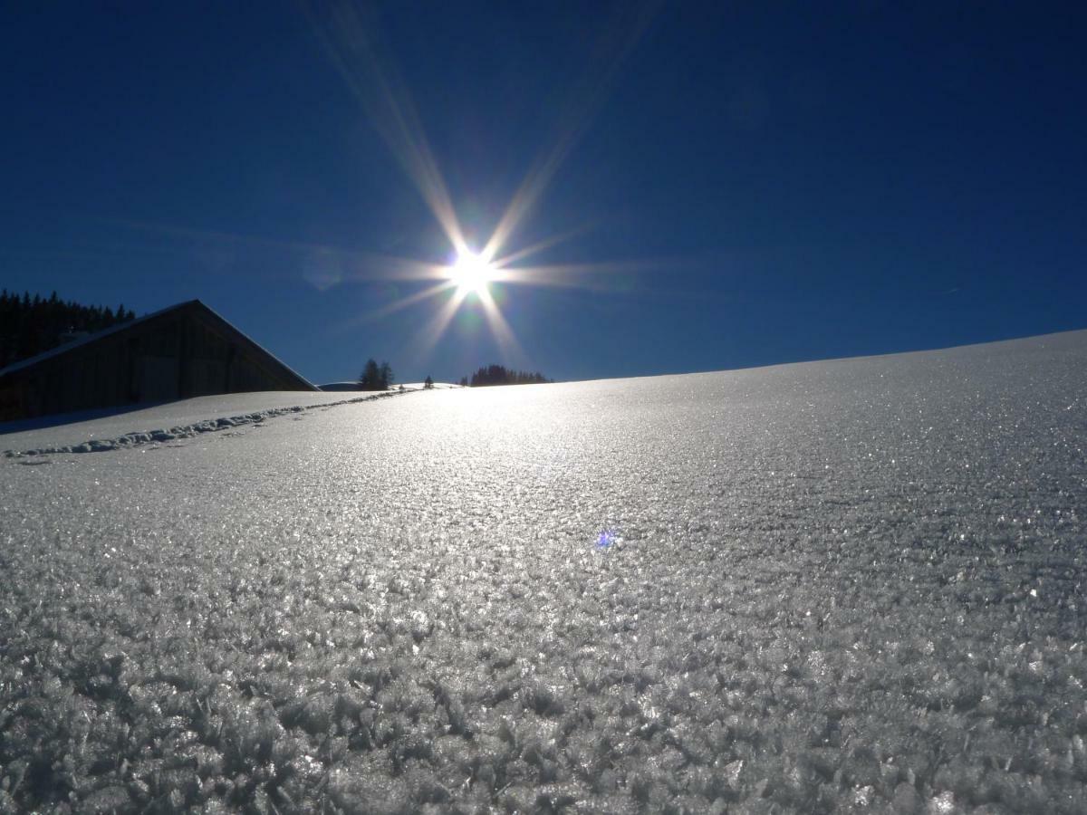 Alpenhaus Dachstein.Zauber Appartement Abtenau Buitenkant foto