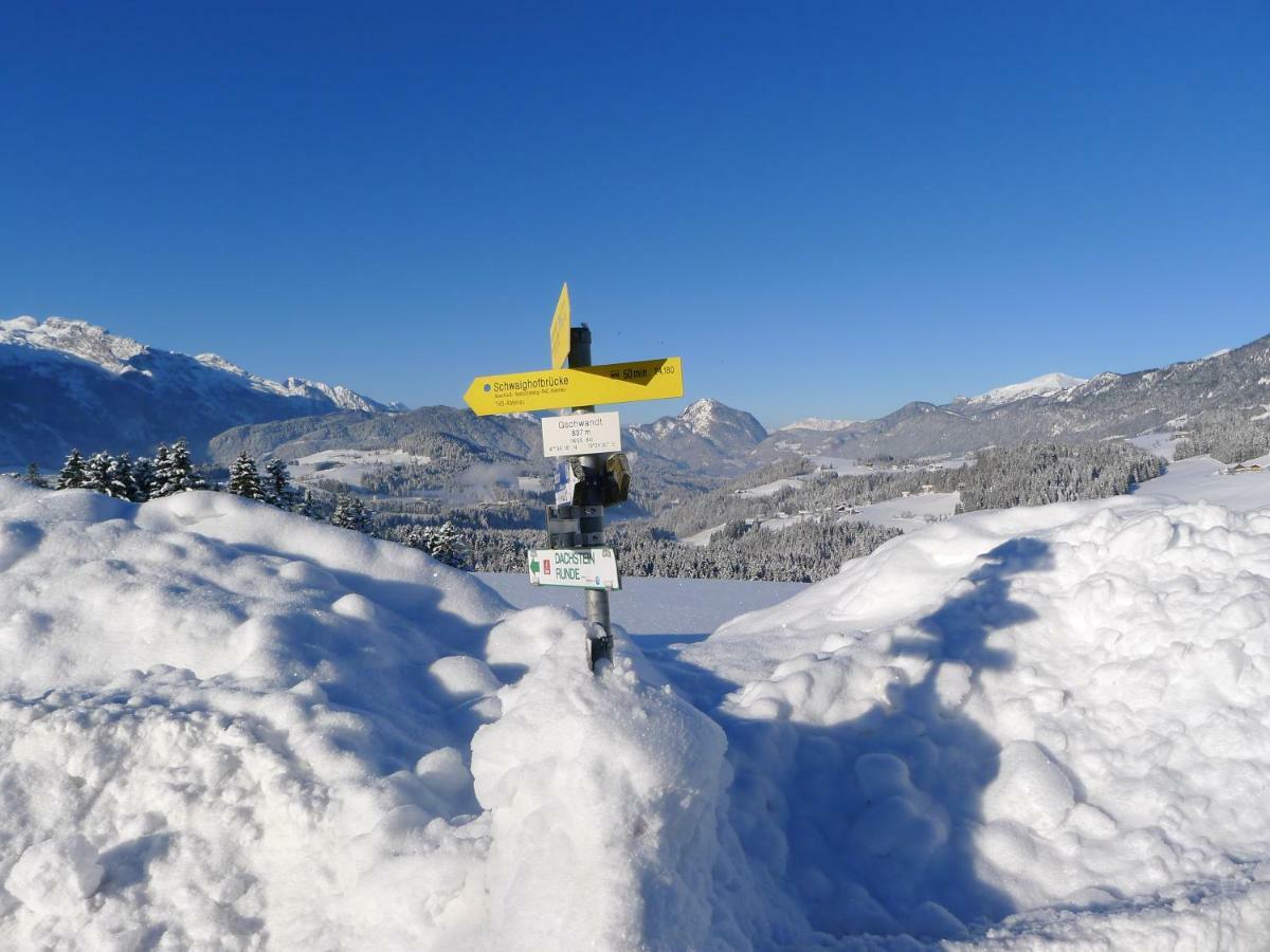 Alpenhaus Dachstein.Zauber Appartement Abtenau Buitenkant foto