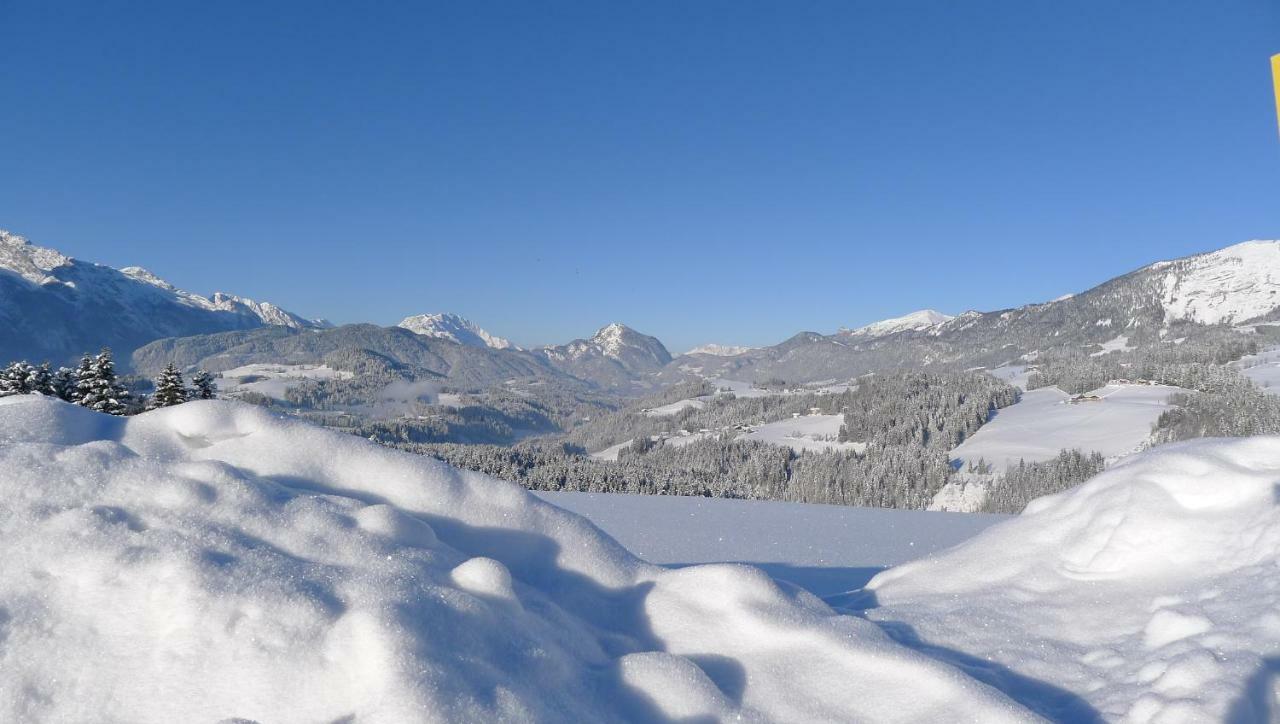 Alpenhaus Dachstein.Zauber Appartement Abtenau Buitenkant foto