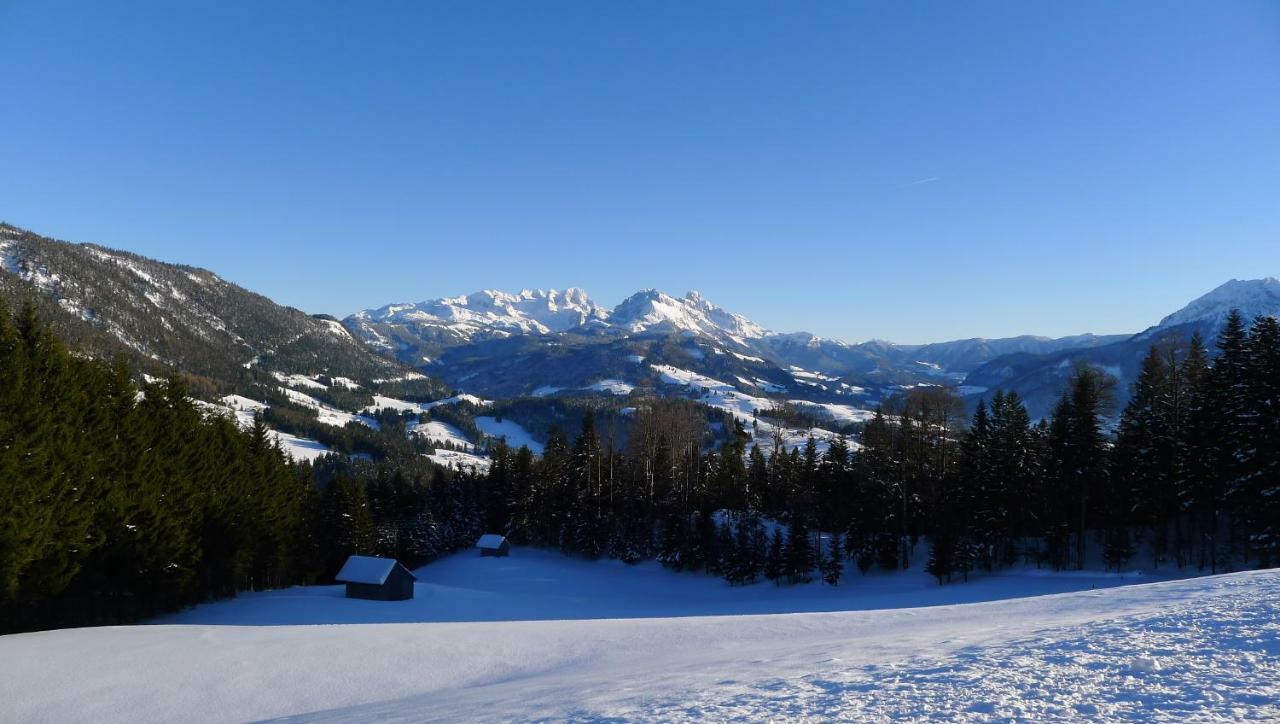 Alpenhaus Dachstein.Zauber Appartement Abtenau Buitenkant foto