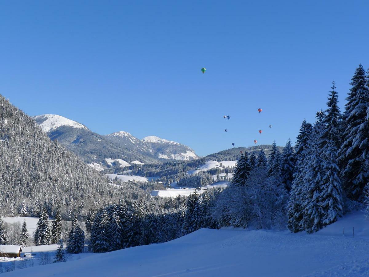 Alpenhaus Dachstein.Zauber Appartement Abtenau Buitenkant foto